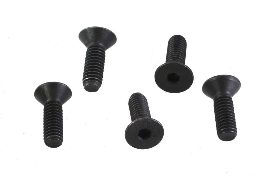 Allen Flat Head Screws Black 5/16 inch-18 x 1 inch