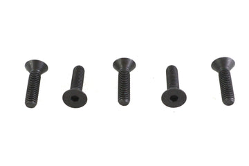 Allen Flat Head Screws Black 5/16 inch-18 x 1-1/4 inch