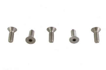 Allen Flat Head Screws Stainless Steel