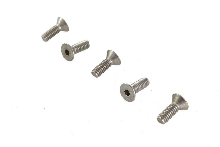 Allen Flat Head Screws Stainless Steel