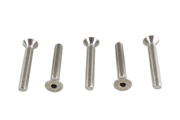 Allen Flat Head Screws Stainless Steel 3/8 inch-16 x 2-1/2 i