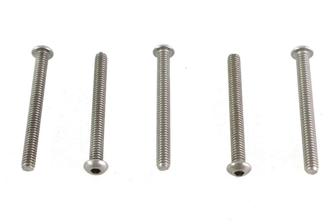 Allen Button Head Screws Stainless Steel 1/4-20 X 2-1/2 inch