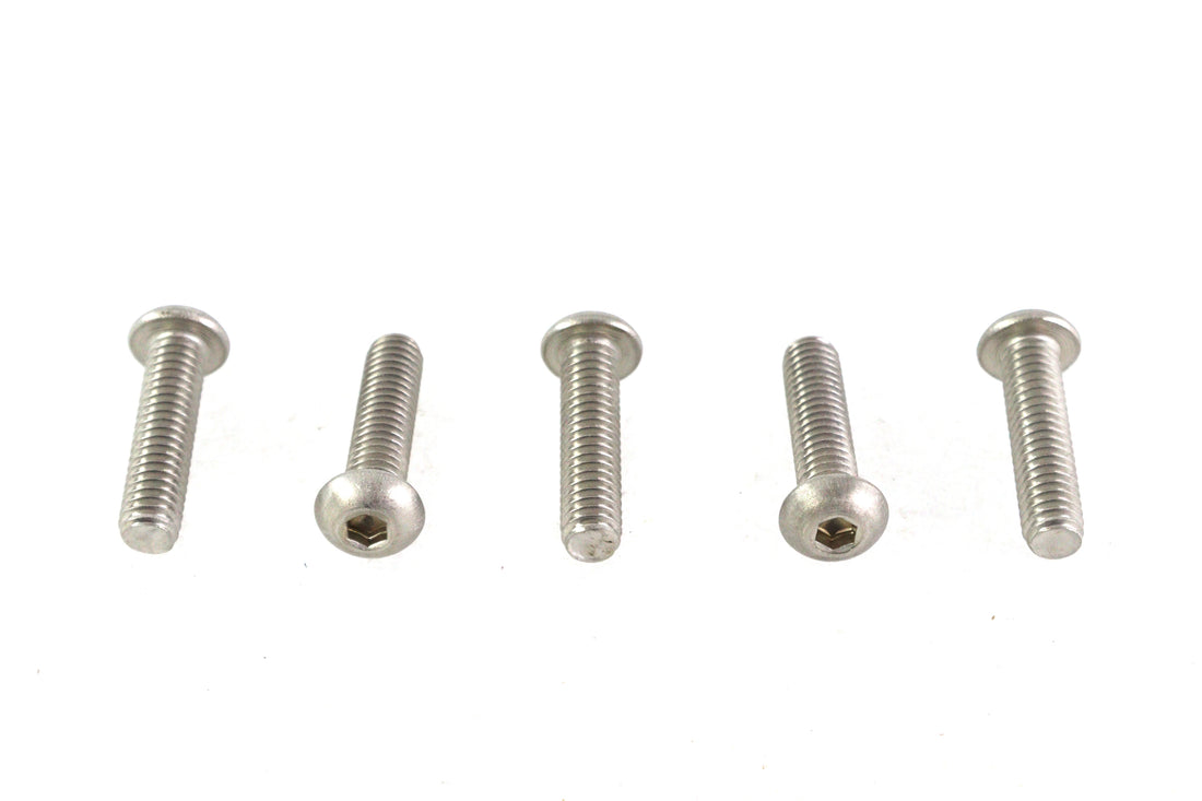 Allen Button Head Screws Stainless Steel 5/16-18 X 1-1/4 inc