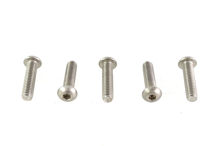 Allen Button Head Screws Stainless Steel 5/16-18 X 1-1/4 inc