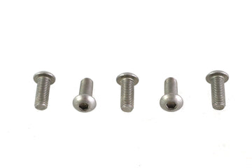 Allen Button Head Screws Stainless Steel 1/4-24 X 5/8 inch