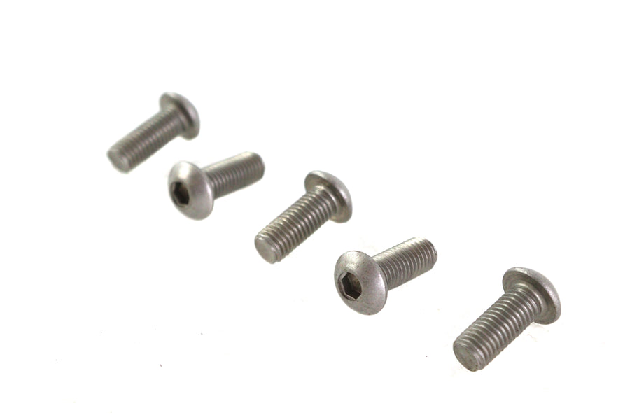 Allen Button Head Screws Stainless Steel 1/4-24 X 5/8 inch