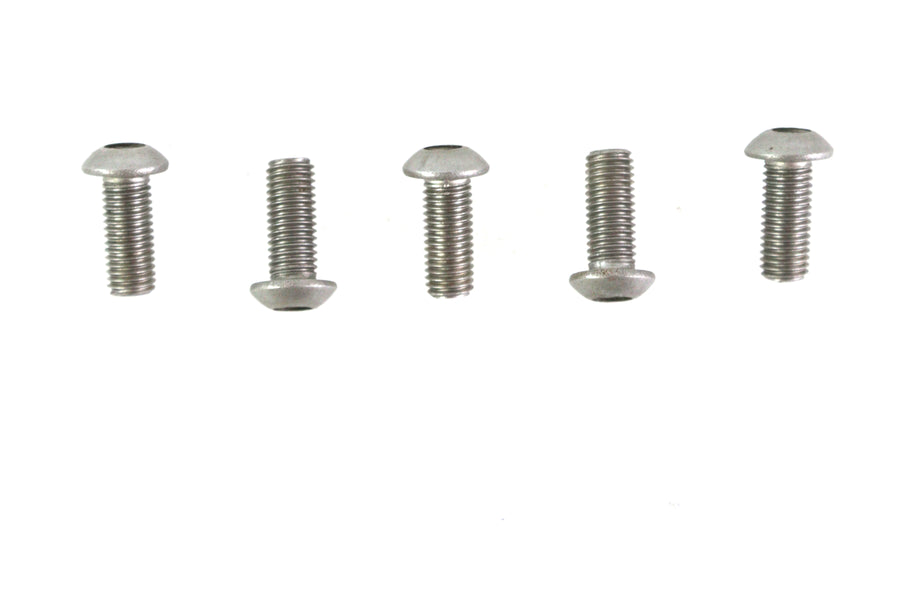 Allen Button Head Screws Stainless Steel 1/4-24 X 5/8 inch