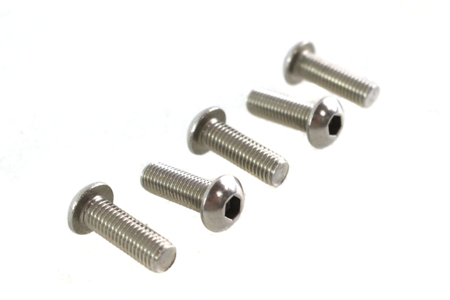 Allen Button Head Screws Stainless Steel 1/4-28 X 3/4 inch