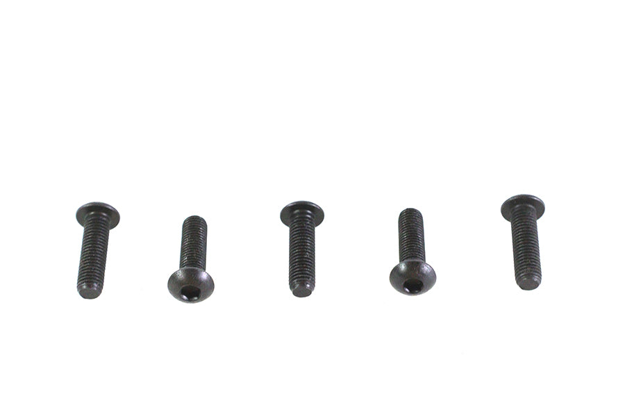 Allen Button Head Screws Black 1/4-28 X 7/8 inch