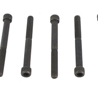 1/4 inch-20 x 2-1/2 inch Allen Socket Cap Screw Black