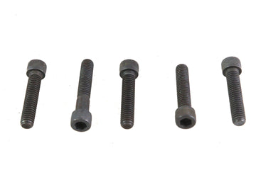 5/16 inch-18 x 1-3/4 inch Allen Socket Cap Screw Black