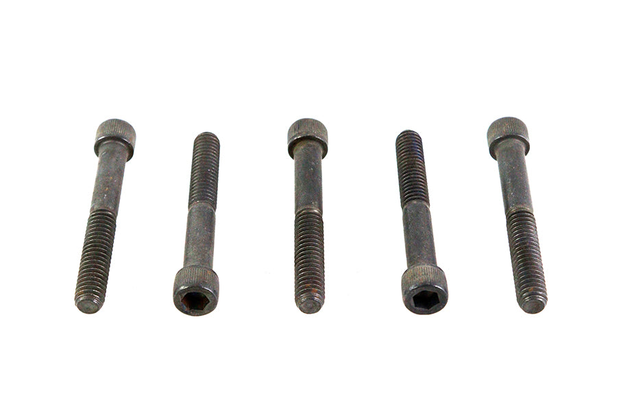 73-0201 - 5/16-18 X 2-1/2 inch Allen Socket Cap Screw Black by V-Twin