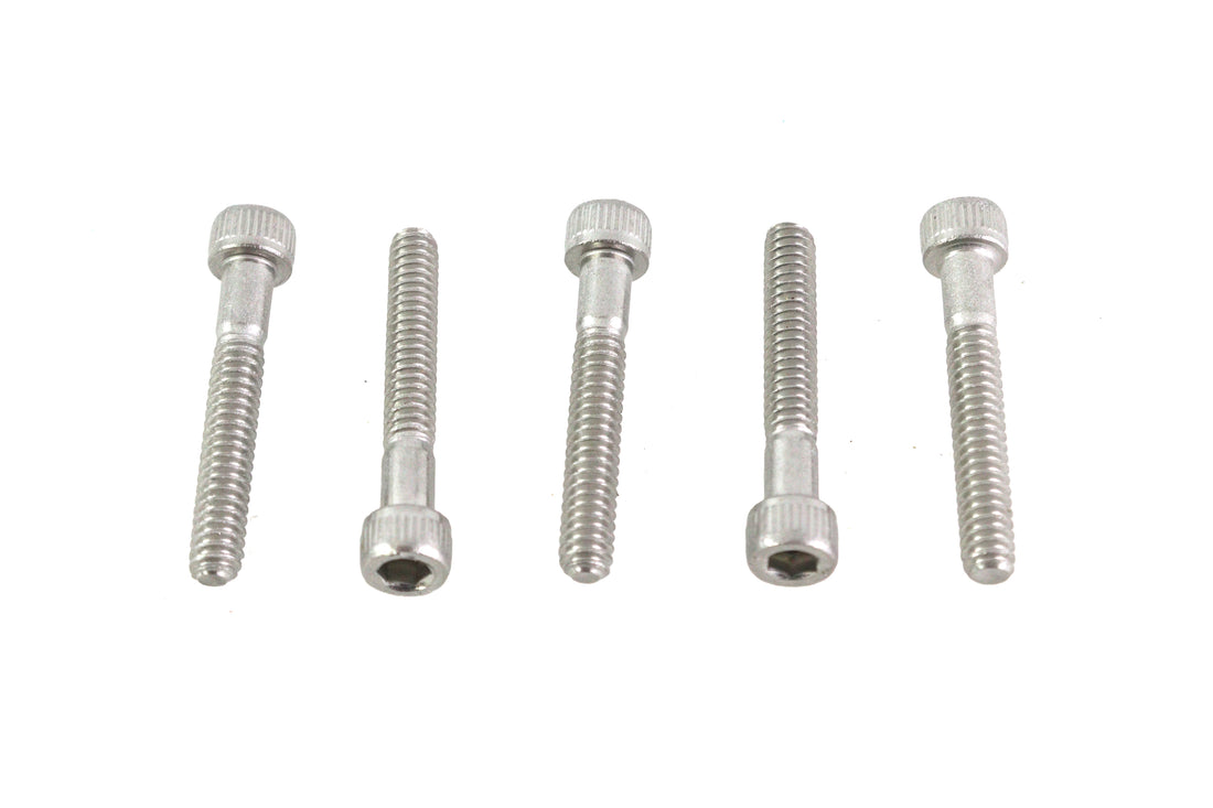 10-24 X 1-1/4 inch Allen Socket Cap Screw Stainless Steel