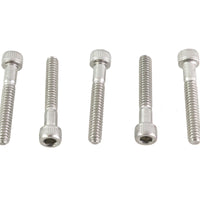 10-24 X 1-1/4 inch Allen Socket Cap Screw Stainless Steel