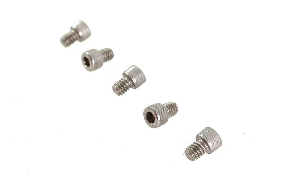 1/4 inch-20 x 5/16 inch Allen Socket Cap Screw Stainless Ste