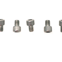 1/4 inch-20 x 5/16 inch Allen Socket Cap Screw Stainless Ste