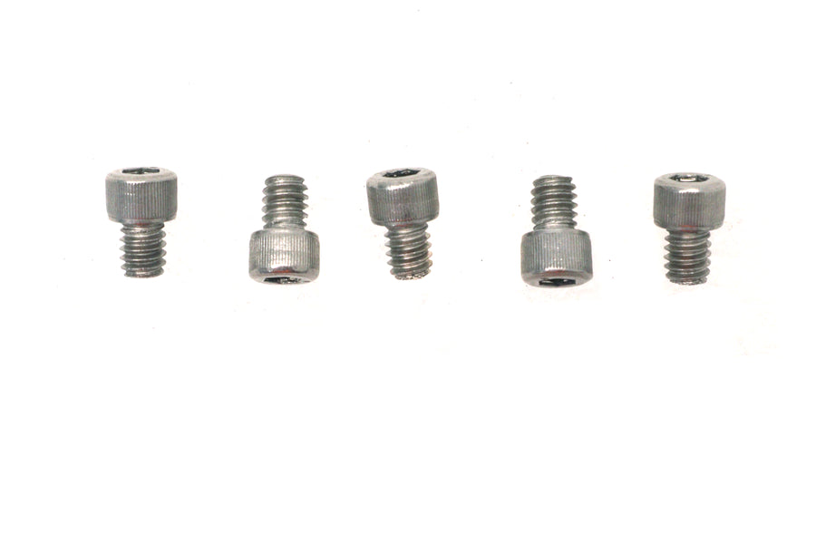 1/4 inch-20 x 5/16 inch Allen Socket Cap Screw Stainless Ste