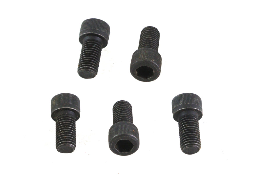 5/16 inch-24 x 5/8 inch Allen Socket Cap Screw Black