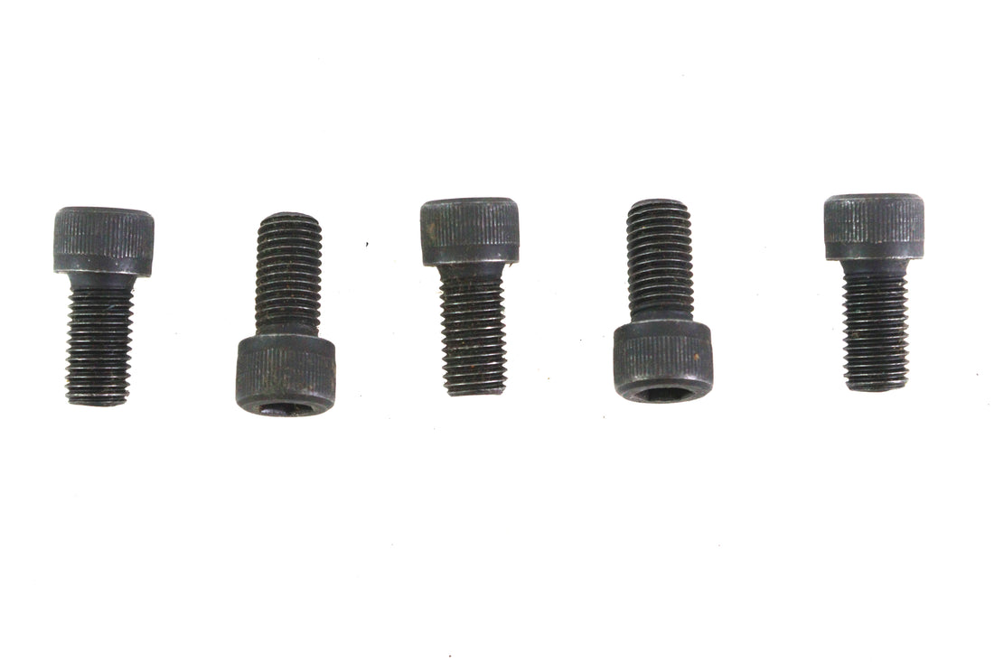 5/16 inch-24 x 5/8 inch Allen Socket Cap Screw Black