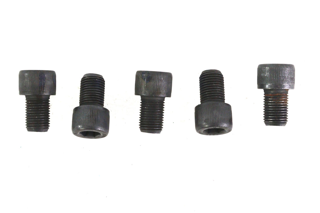 1/2 inch-20 x 3/4 inch Allen Socket Cap Screw Black