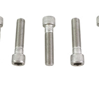 3/8 inch-24 x 1-3/4 inch Allen Socket Cap Screw Stainless St