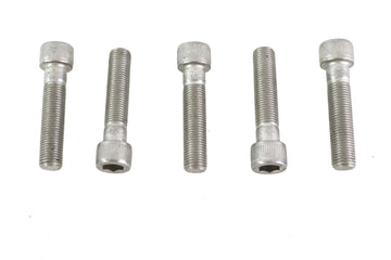 3/8 inch-24 x 1-3/4 inch Allen Socket Cap Screw Stainless St