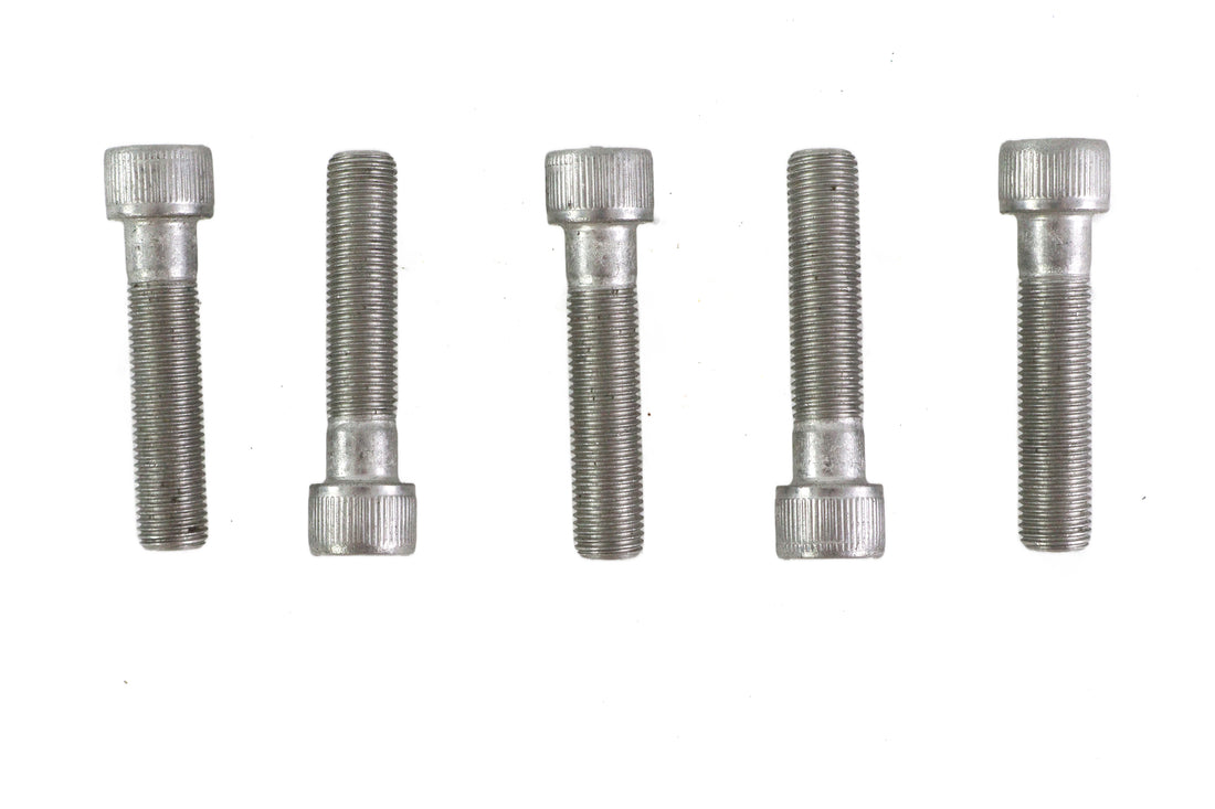 3/8 inch-24 x 1-3/4 inch Allen Socket Cap Screw Stainless St