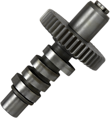 DS-199302 - ANDREWS Cam - J Grind - Shovelhead 212020