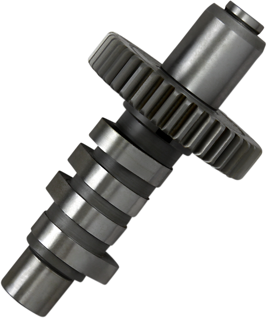 ANDREWS EV13 Cam - Evolution 291113