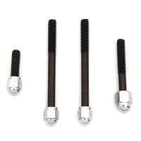 8016-4 - Chrome Acorn Dash Cover Screw by Colony