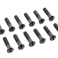 9621-12 - Cam Cover Screw Kit Parkerized by Colony