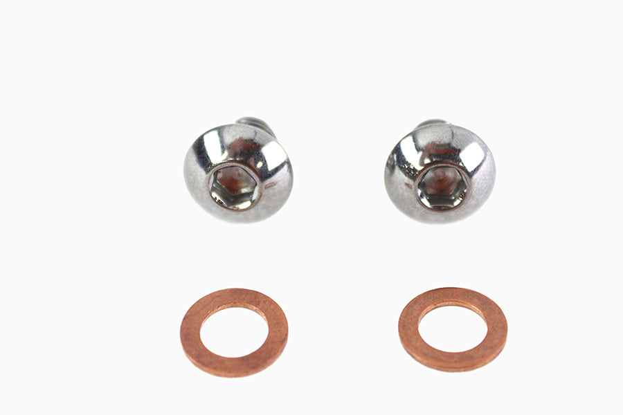 9758-2 - 41mm Fork Slider Drain Screw by Colony