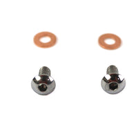 9910-4 - Fork Slider Drain Screws by Colony