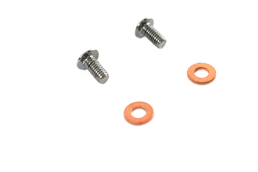 9910-4 - Fork Slider Drain Screws by Colony
