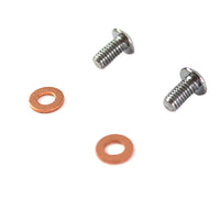 9910-4 - Fork Slider Drain Screws by Colony