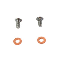 9910-4 - Fork Slider Drain Screws by Colony