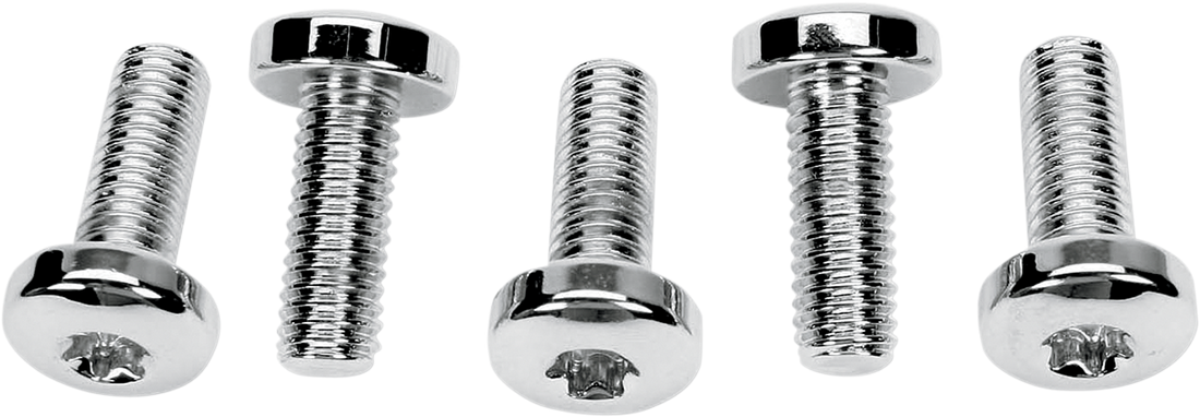 DS-189702 - DS-189702 - COLONY Rear Rotor - Torx - '97-'09 Big Twin 9818-5