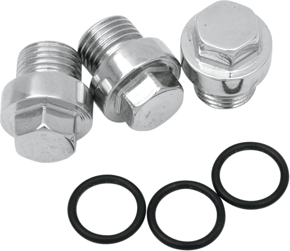 DS-189911 - COLONY Plug Kit - Tappet Oil Screen - Big Twin 8701-2