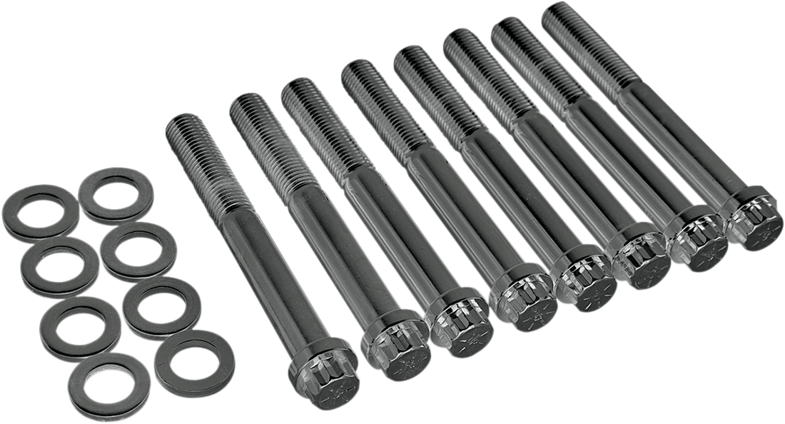 DS-189950 - COLONY Nut Kit - Rocker Box - Big Twin - Chrome 8608-36