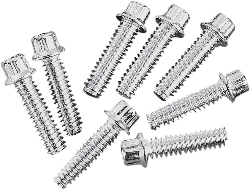 DS-189998 - COLONY Screws -12-Point - Lift Block - Big Twin 8708-8