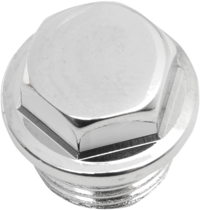 DS-190893 - DS-190893 - COLONY Hex Nut Timng Plug 5/8-18 8610-1