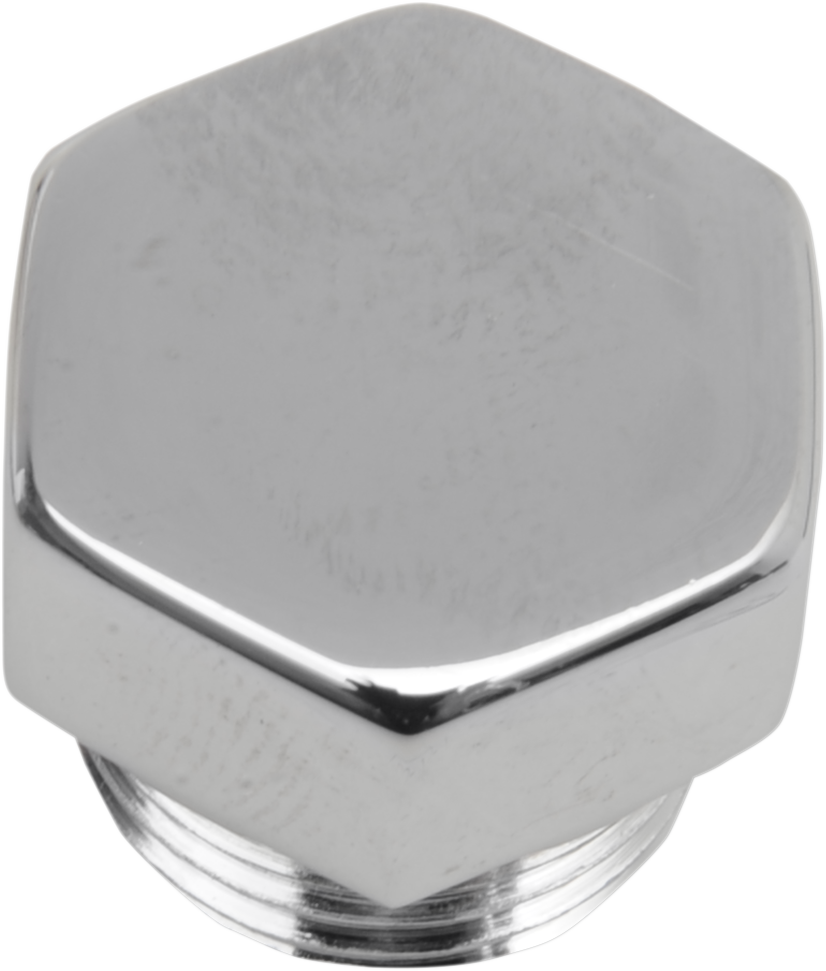 DS-193711 - DS-193711 - COLONY Timing Hole Plug Chrome 8114-1