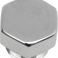 DS-193711 - DS-193711 - COLONY Timing Hole Plug Chrome 8114-1