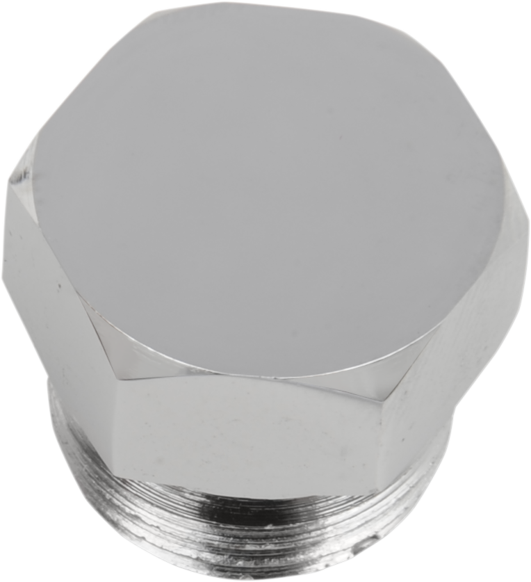 DS-193711 - DS-193711 - COLONY Timing Hole Plug Chrome 8114-1