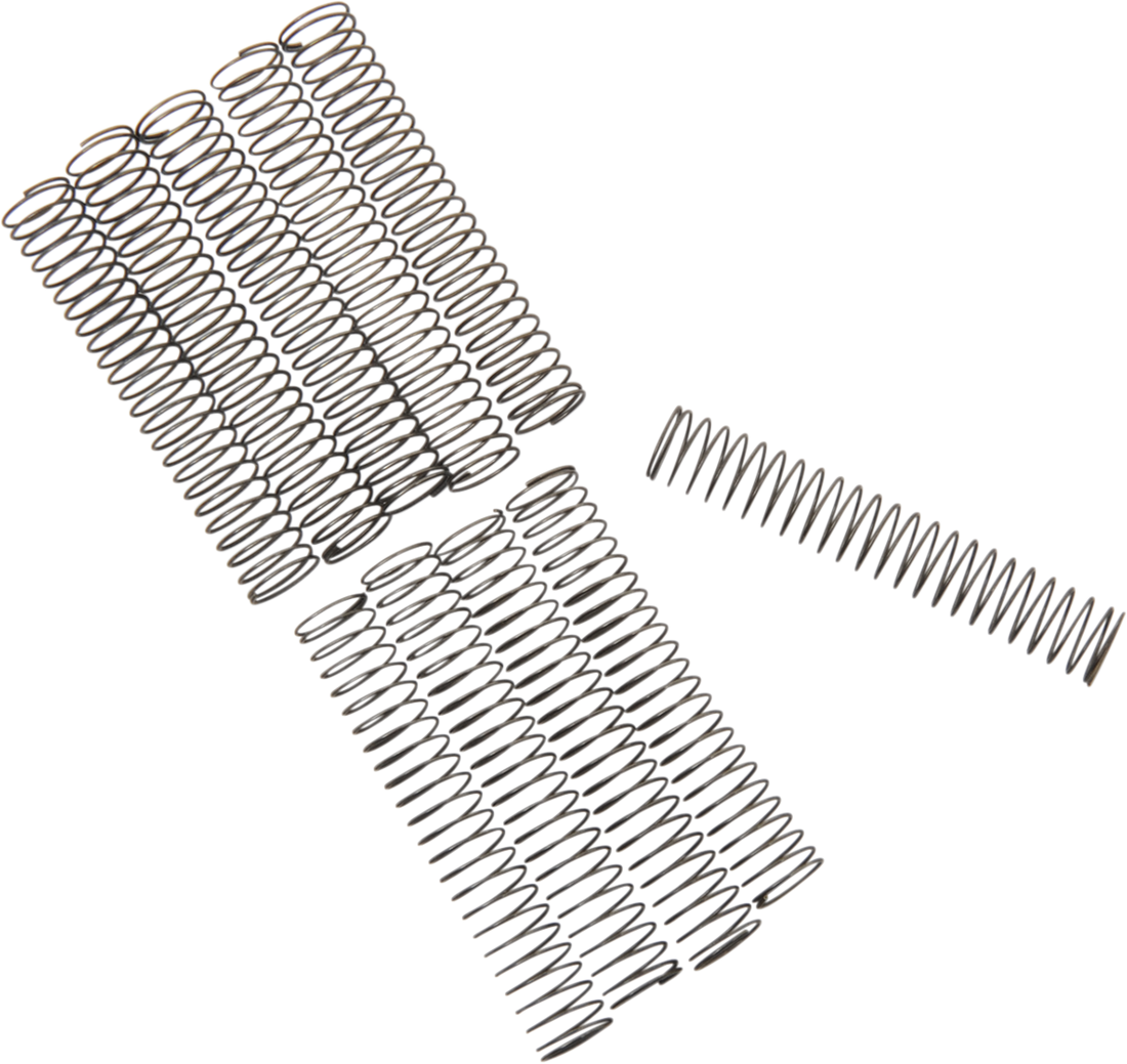 DS-194222 - EASTERN MOTORCYCLE PARTS Check Valve Spring - Big Twin A-26262-80