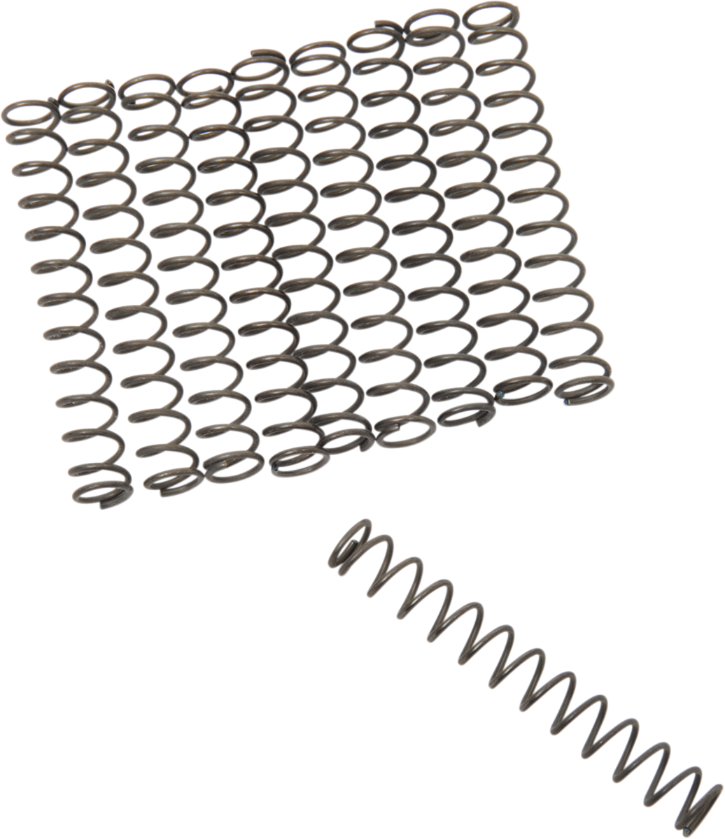 DS-194222 - EASTERN MOTORCYCLE PARTS Check Valve Spring - Big Twin A-26262-80