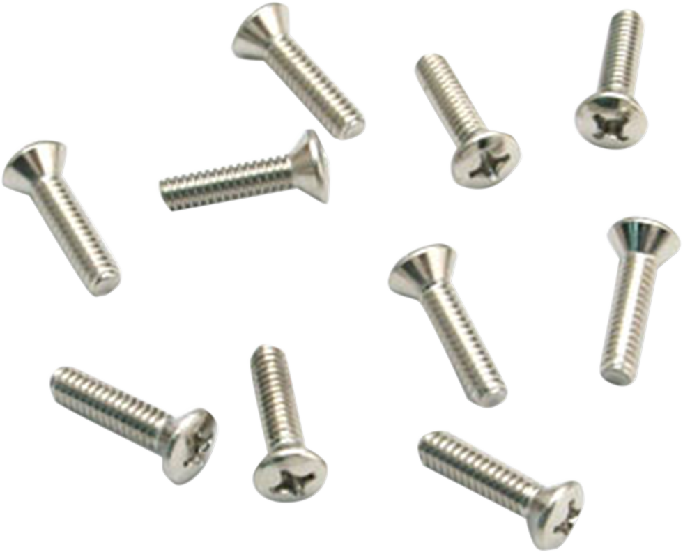DS289405 - DS289405 - S&S CYCLE Cover Screws 50-0094