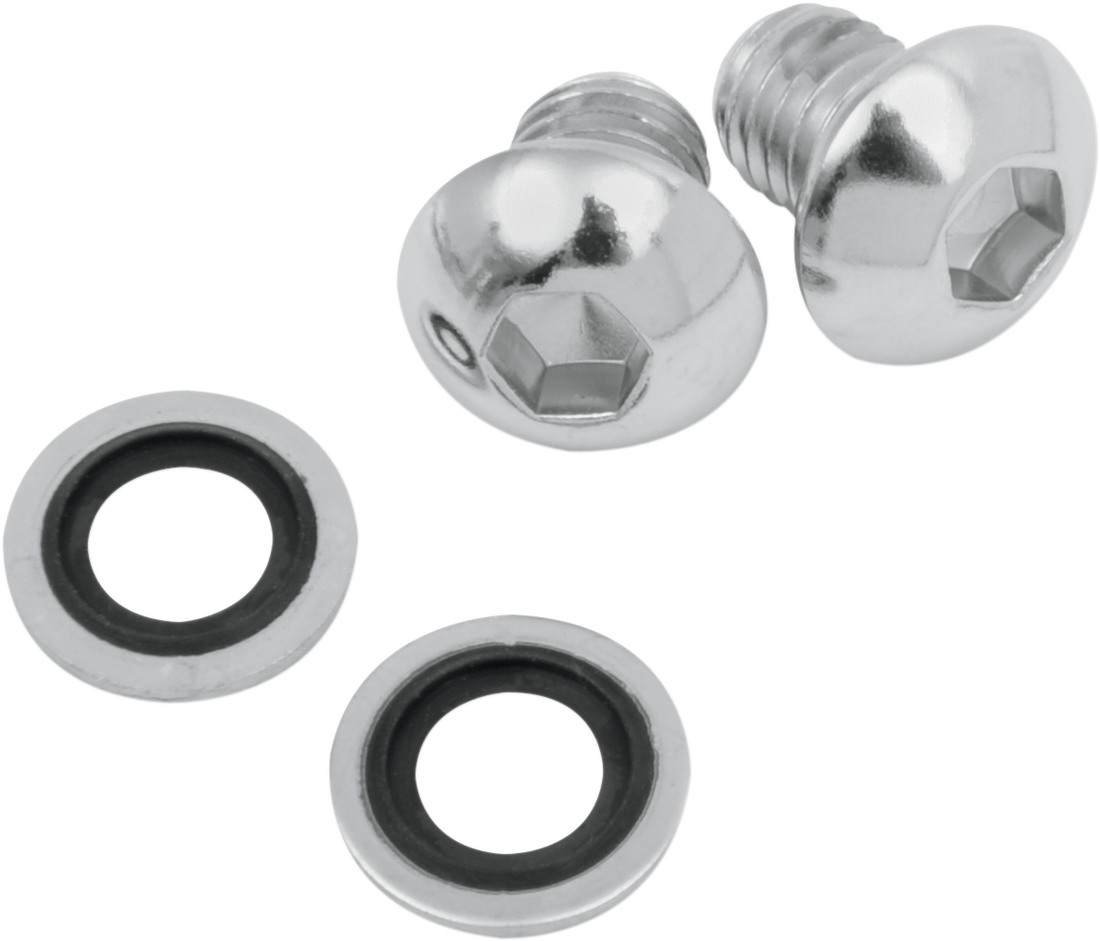 2401-0392 - JAMES GASKET Fork Drain Bolt JGI-45858-77-K