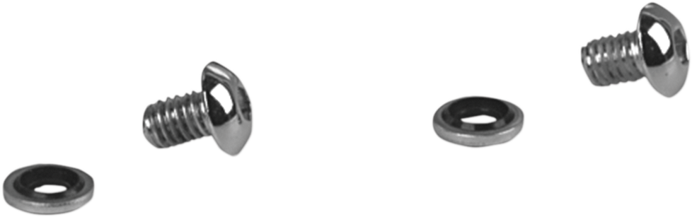 2401-0393 - JAMES GASKET Fork Drain Bolt JGI-45790-80-BH