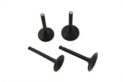11-0679 - Nitrate Intake and Exhaust Valve Set
